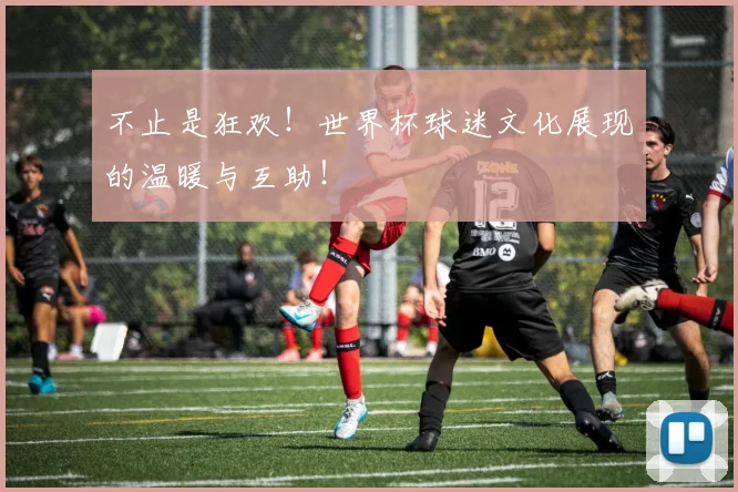 不止是狂欢！世界杯球迷文化展现的温暖与互助！